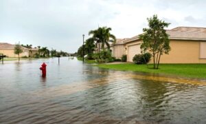 Flooded suburban street - ALTA SURVEY Orlando Flooded suburban neighborhood after heavy rain showing standing water near homes and lawns, highlighting the need for a boundary line survey