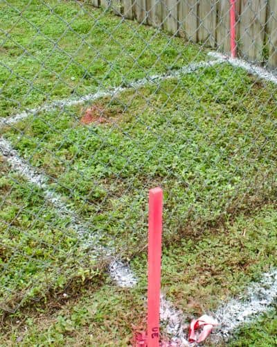 Survey stakes marking a backyard layout before building a small unit